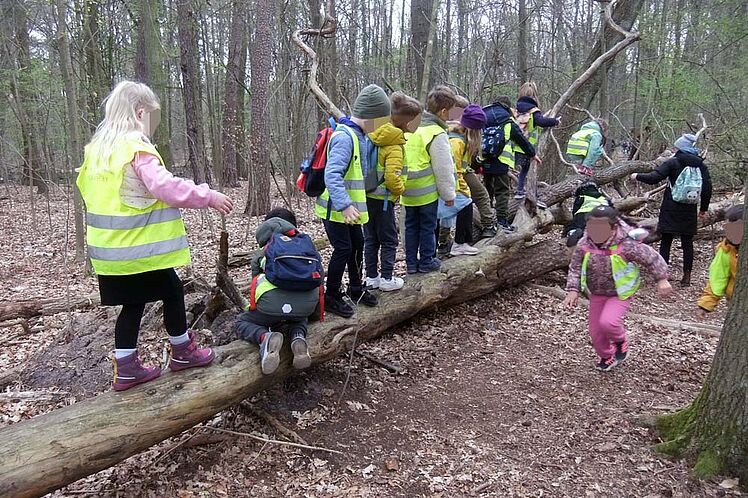 Kinder balancieren über einen umgefallenen Baumstamm