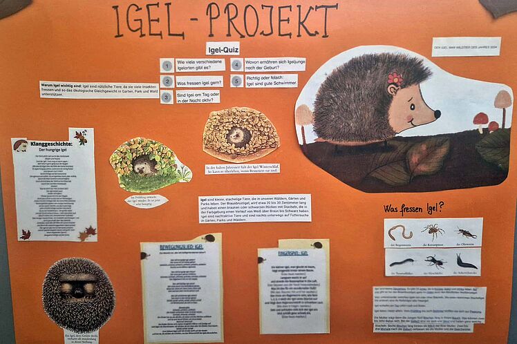 Plakat: Präsentation des Igel-Projekts