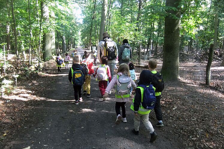 Kindergruppe im Wald von hinten