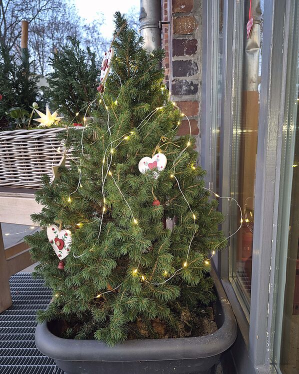 Kleiner Weihnachtsbaum vor der Kita