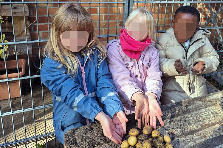 Drei Kinder stehen hinter einem Holztisch im Freien und zeigen je mit beiden Händen auf ihre Kartoffelernte.