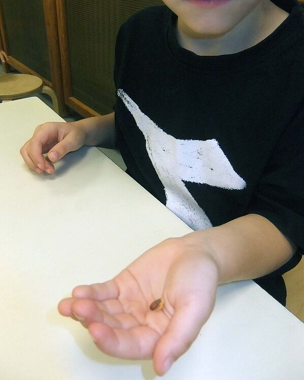 Kind mit Apfelkern in der Hand