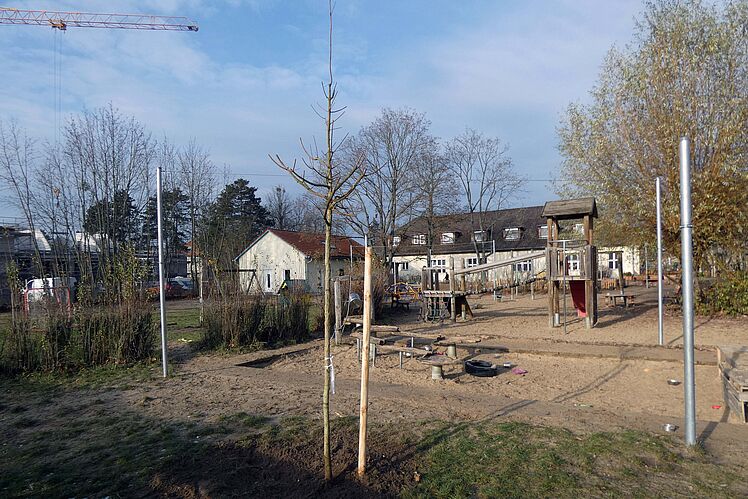 Eingepflanzte Bäume auf dem Kita-Gelände aus etwas anderem Blickwinkel