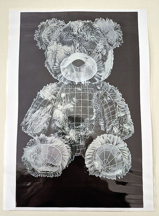 Röntgenbild eines Teddys