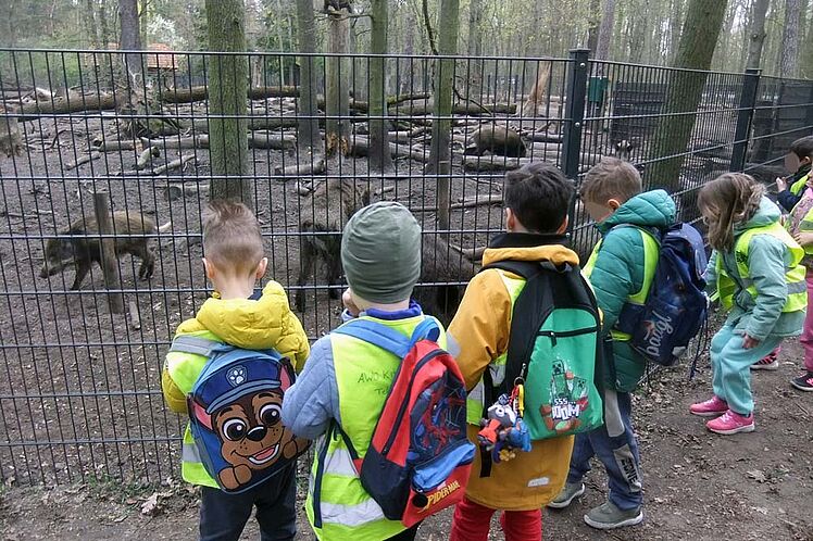 Kinder vor dem Wildschweingehege
