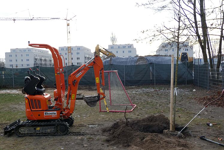 Bagger hebt Pflanzgrube aus